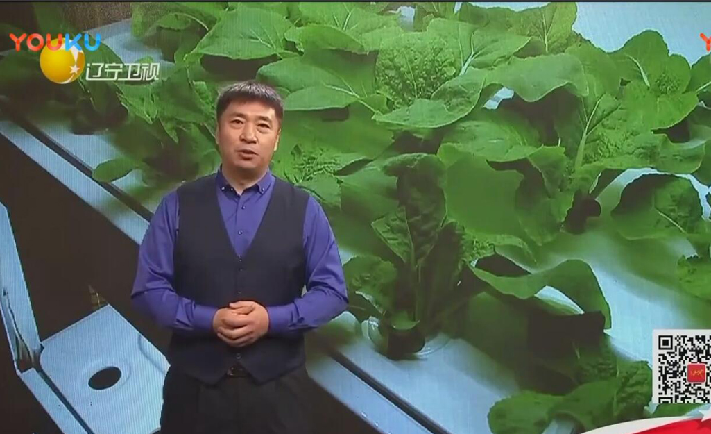 遼寧衛視黑土地節(jié)目采訪——智能蔬菜種植機 遼寧衛視黑土地節(jié)目采訪——智能蔬菜種植機